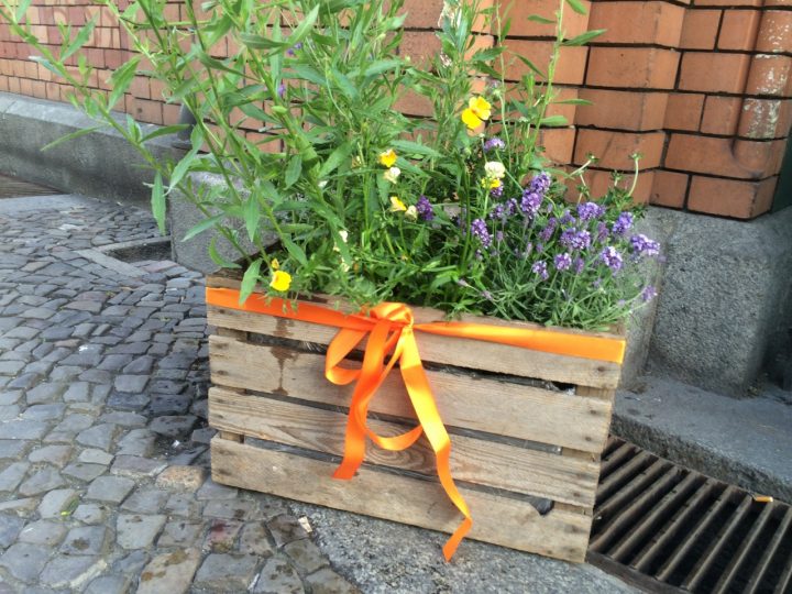 Frühlingsaktion